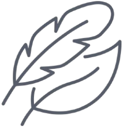 Feather outline icon.