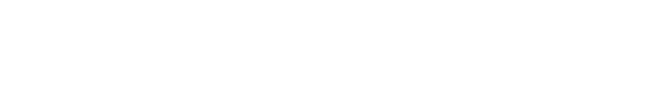 Torriden White Logo